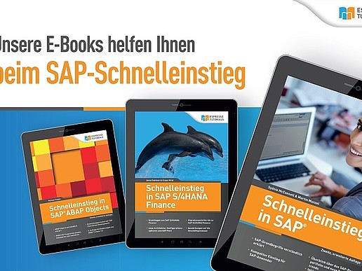 Abbildung E-Books für SAP-Einstieg